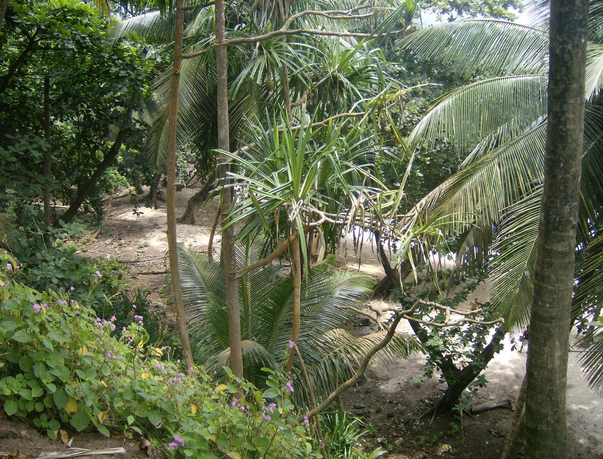N'Guembu Nature Resort Porto Alegre Bagian luar foto